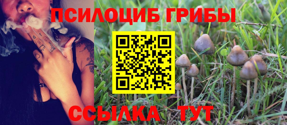 Галлюциногенные грибы Magic Shrooms Ефремов