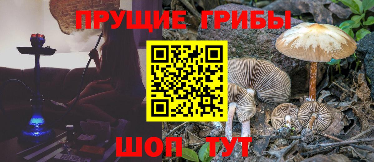 где купить   Вход с VPN  Ефремов  Галлюциногенные грибы мицелий 
